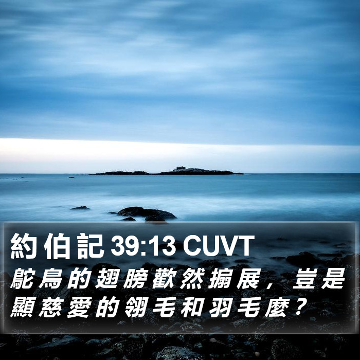 約 伯 記 39:13 CUVT Bible Study