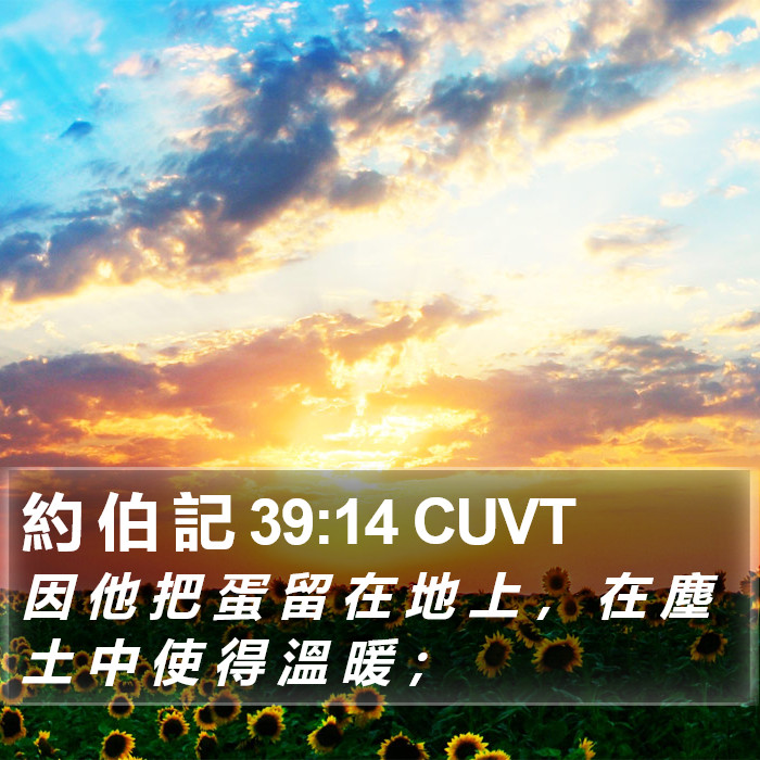 約 伯 記 39:14 CUVT Bible Study