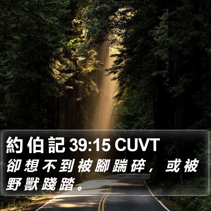 約 伯 記 39:15 CUVT Bible Study