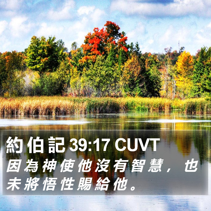 約 伯 記 39:17 CUVT Bible Study