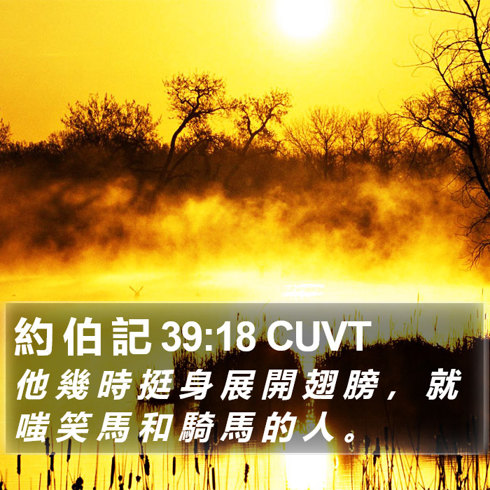 約 伯 記 39:18 CUVT Bible Study