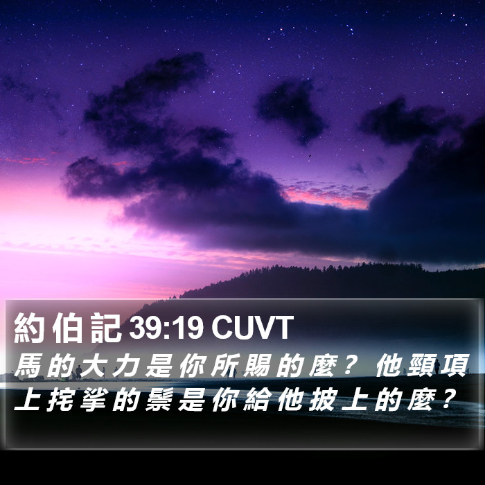 約 伯 記 39:19 CUVT Bible Study