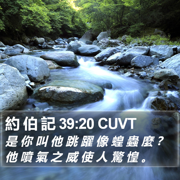 約 伯 記 39:20 CUVT Bible Study