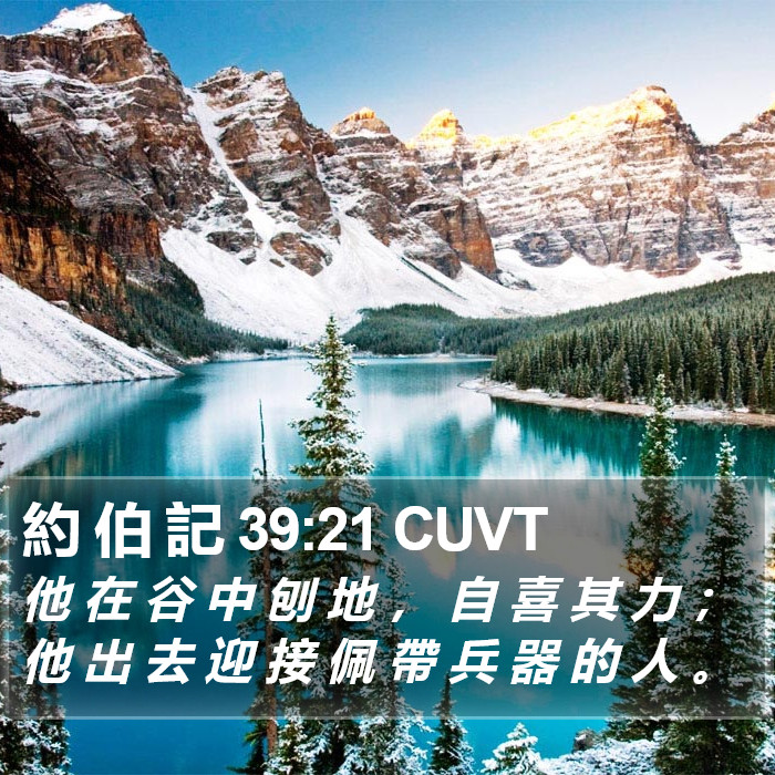 約 伯 記 39:21 CUVT Bible Study