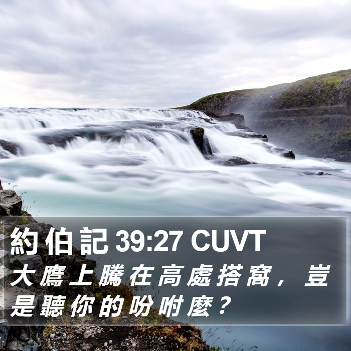 約 伯 記 39:27 CUVT Bible Study