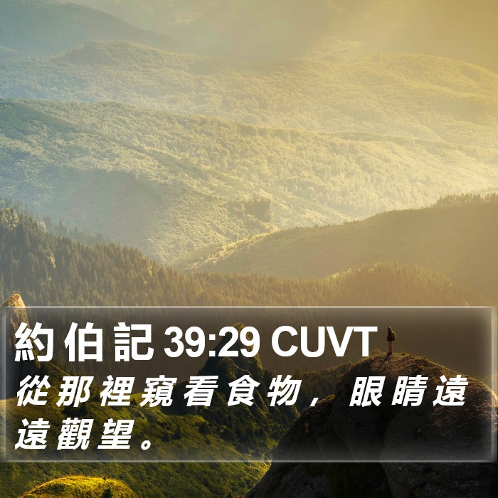 約 伯 記 39:29 CUVT Bible Study