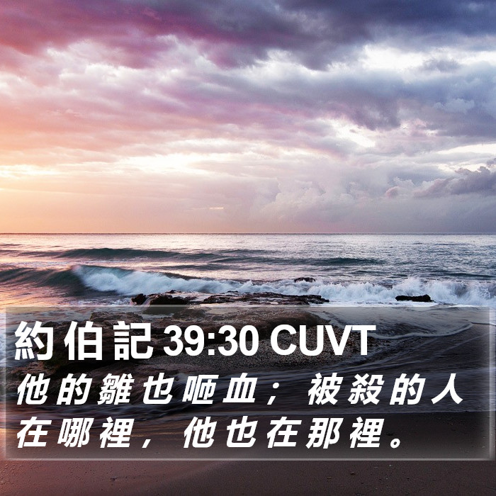 約 伯 記 39:30 CUVT Bible Study