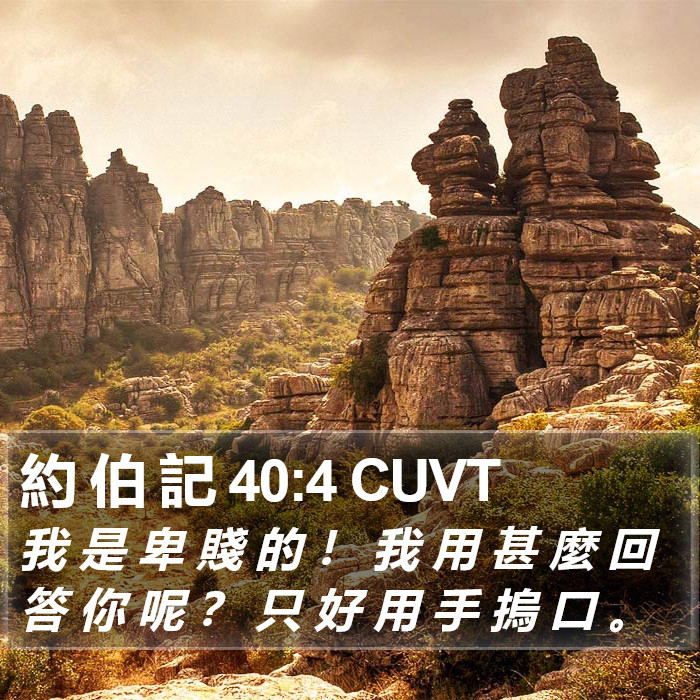 約 伯 記 40:4 CUVT Bible Study