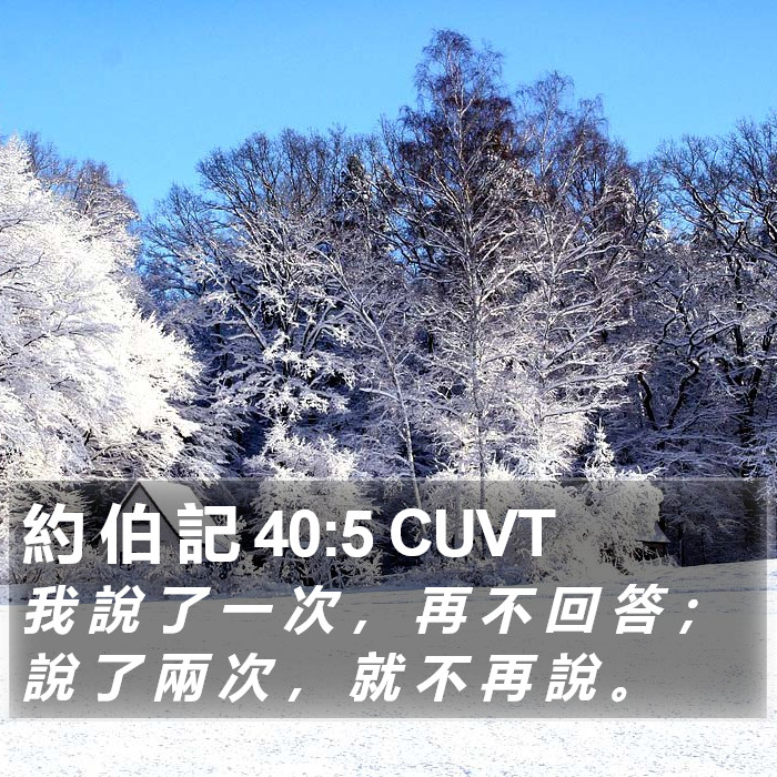 約 伯 記 40:5 CUVT Bible Study