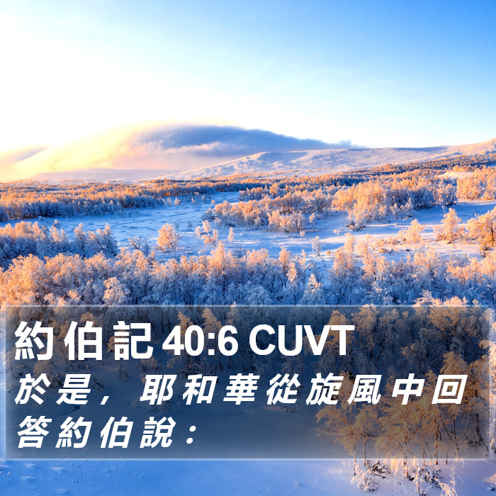 約 伯 記 40:6 CUVT Bible Study