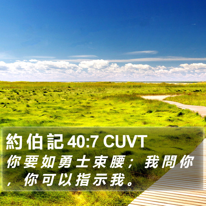 約 伯 記 40:7 CUVT Bible Study