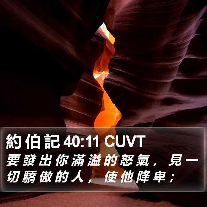 約 伯 記 40:11 CUVT Bible Study