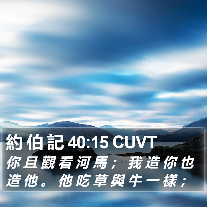 約 伯 記 40:15 CUVT Bible Study