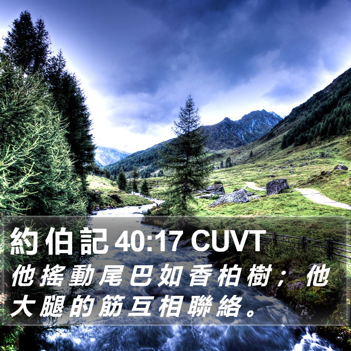 約 伯 記 40:17 CUVT Bible Study