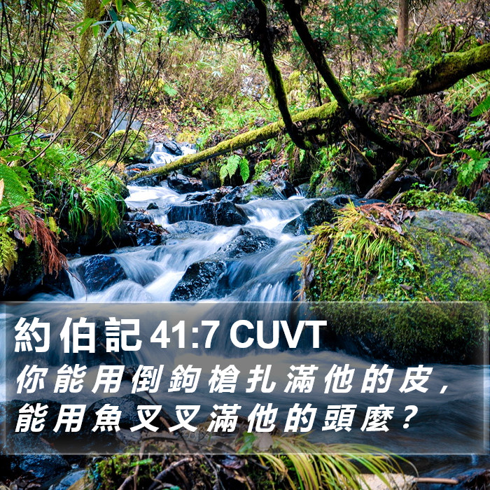約 伯 記 41:7 CUVT Bible Study