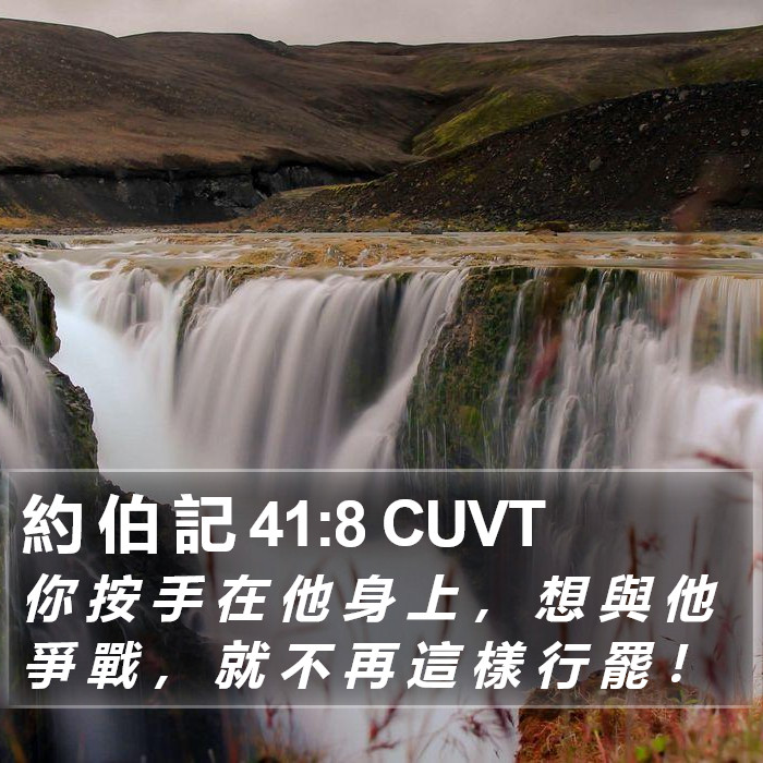 約 伯 記 41:8 CUVT Bible Study