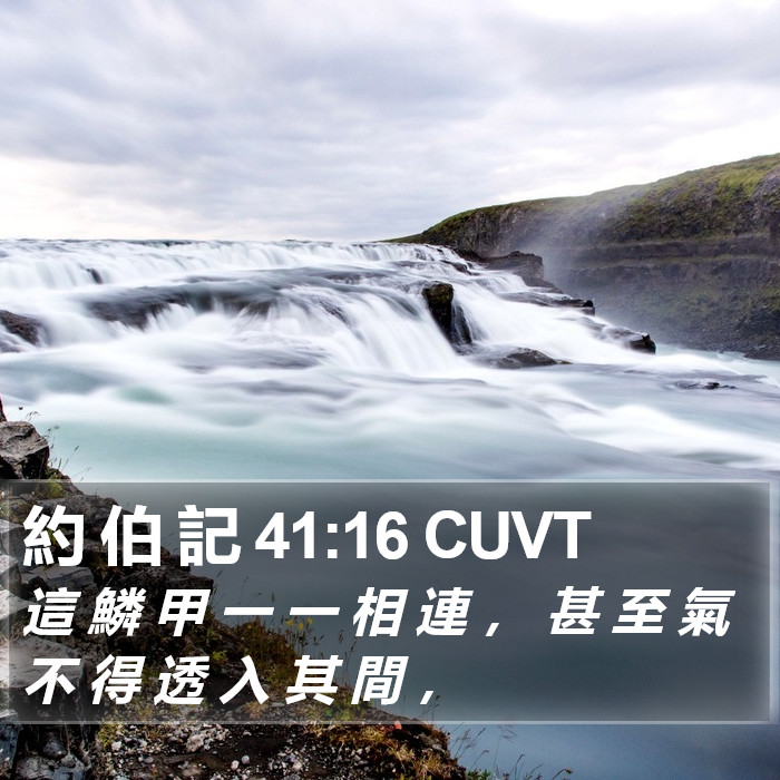 約 伯 記 41:16 CUVT Bible Study