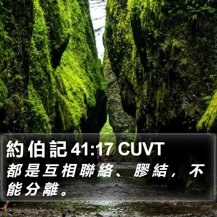 約 伯 記 41:17 CUVT Bible Study