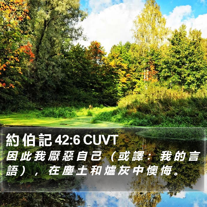 約 伯 記 42:6 CUVT Bible Study