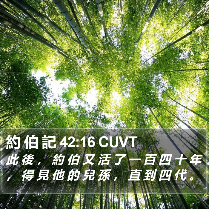 約 伯 記 42:16 CUVT Bible Study