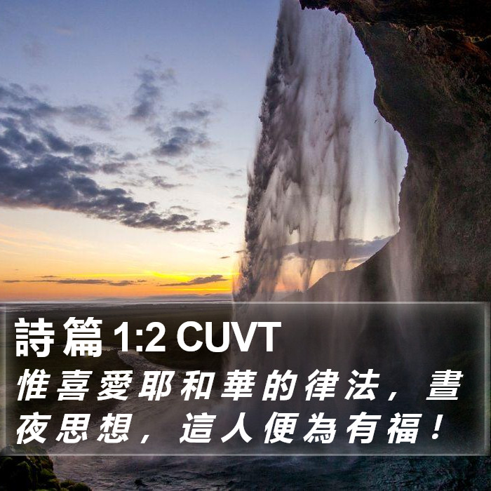 詩 篇 1:2 CUVT Bible Study