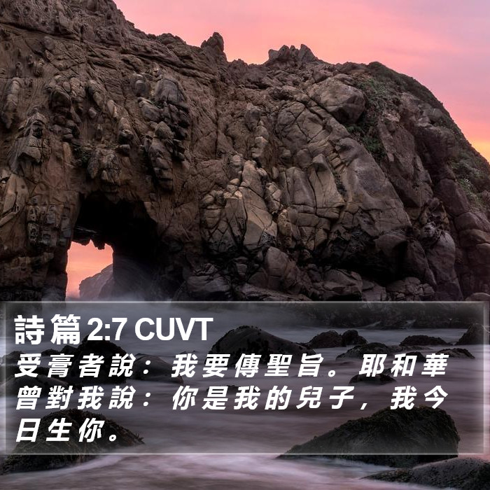 詩 篇 2:7 CUVT Bible Study