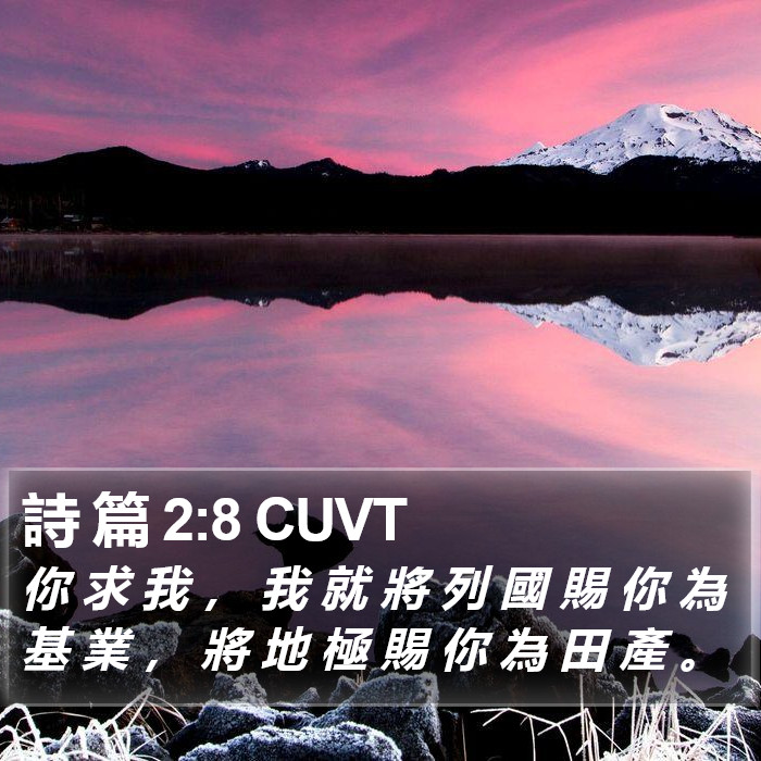 詩 篇 2:8 CUVT Bible Study