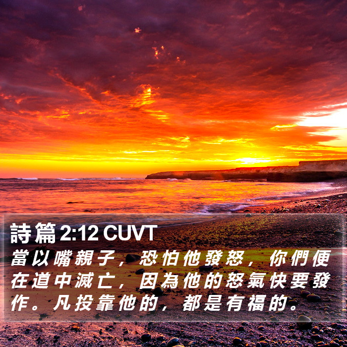 詩 篇 2:12 CUVT Bible Study