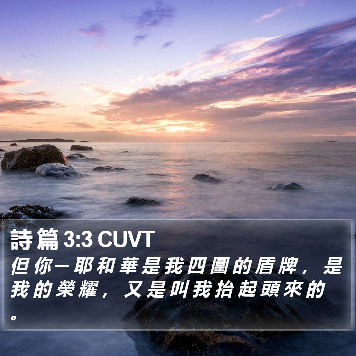 詩 篇 3:3 CUVT Bible Study