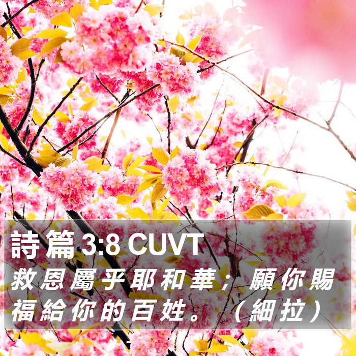 詩 篇 3:8 CUVT Bible Study