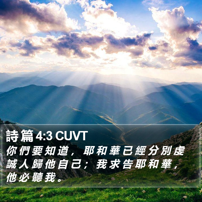 詩 篇 4:3 CUVT Bible Study