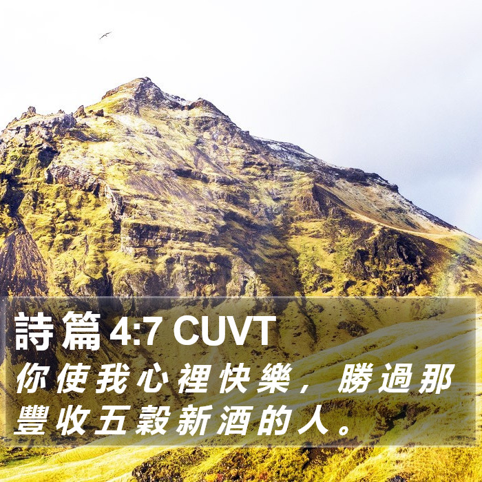 詩 篇 4:7 CUVT Bible Study