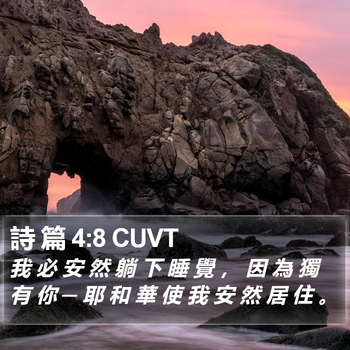 詩 篇 4:8 CUVT Bible Study