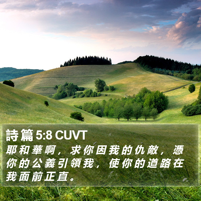 詩 篇 5:8 CUVT Bible Study