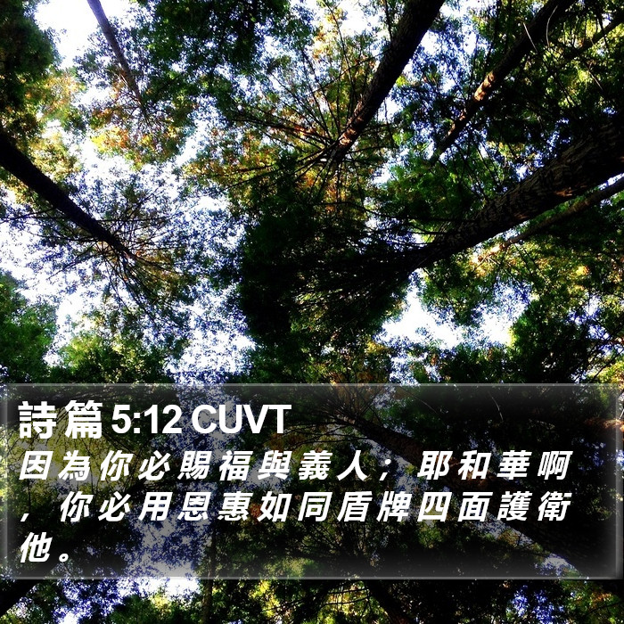 詩 篇 5:12 CUVT Bible Study