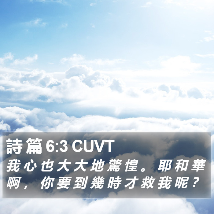 詩 篇 6:3 CUVT Bible Study