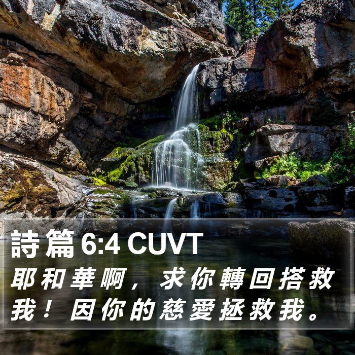 詩 篇 6:4 CUVT Bible Study