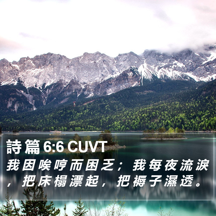 詩 篇 6:6 CUVT Bible Study