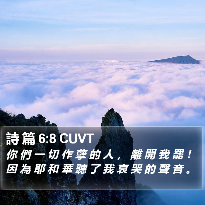 詩 篇 6:8 CUVT Bible Study