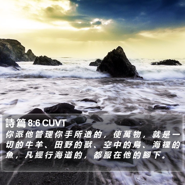 詩 篇 8:6 CUVT Bible Study