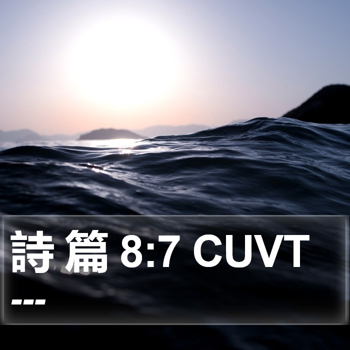 詩 篇 8:7 CUVT Bible Study