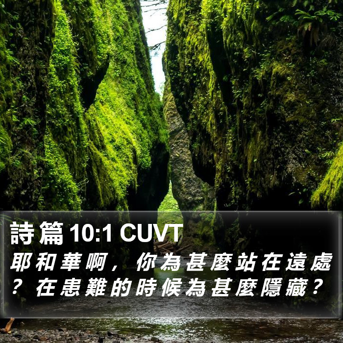 詩 篇 10:1 CUVT Bible Study