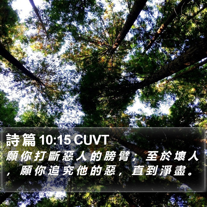 詩 篇 10:15 CUVT Bible Study
