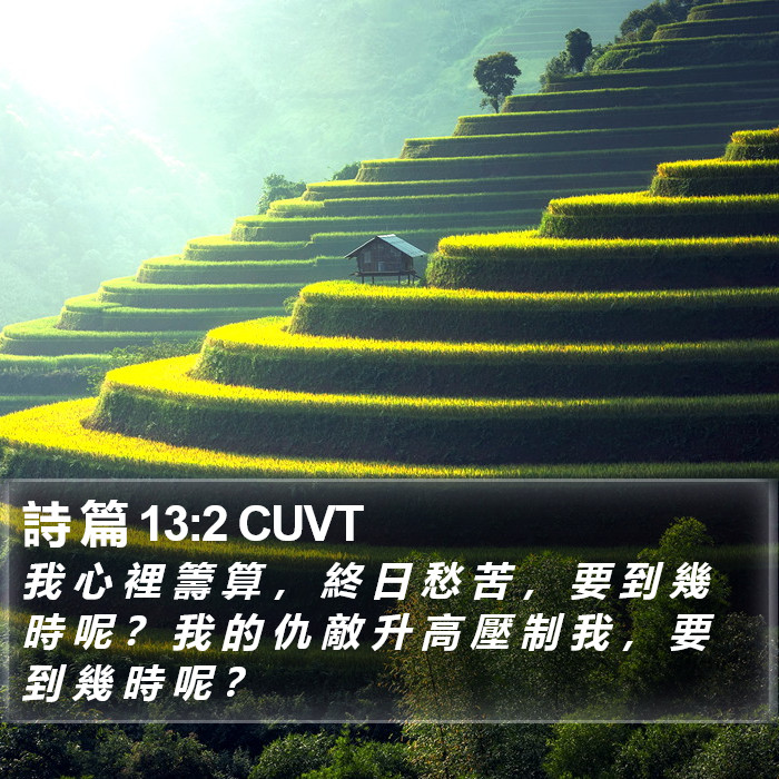 詩 篇 13:2 CUVT Bible Study