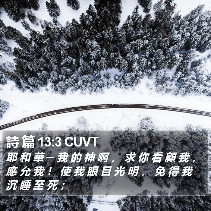 詩 篇 13:3 CUVT Bible Study