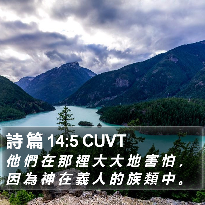 詩 篇 14:5 CUVT Bible Study