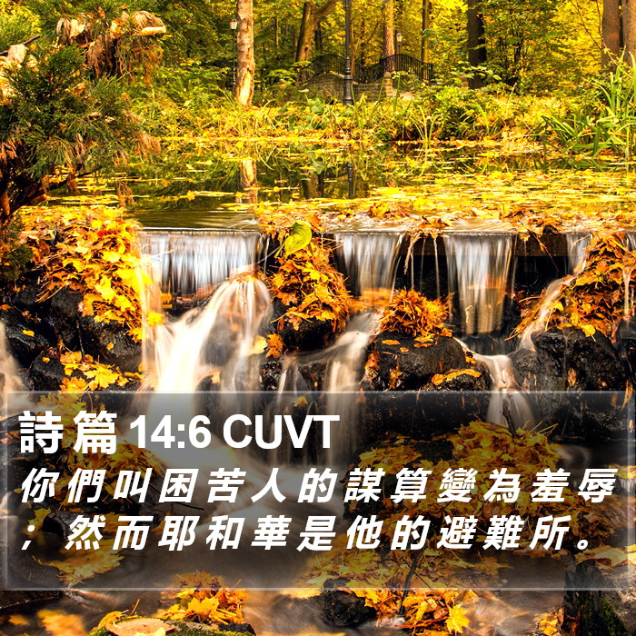 詩 篇 14:6 CUVT Bible Study
