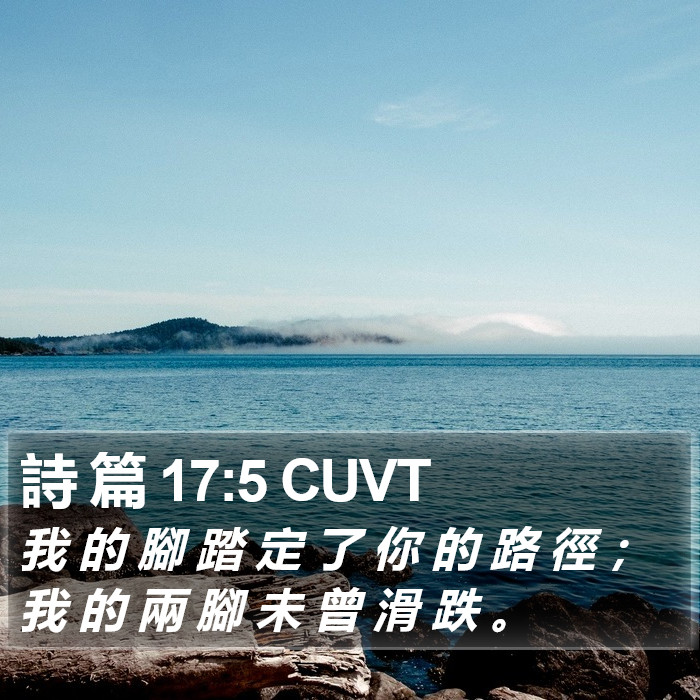 詩 篇 17:5 CUVT Bible Study