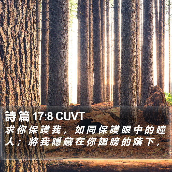 詩 篇 17:8 CUVT Bible Study