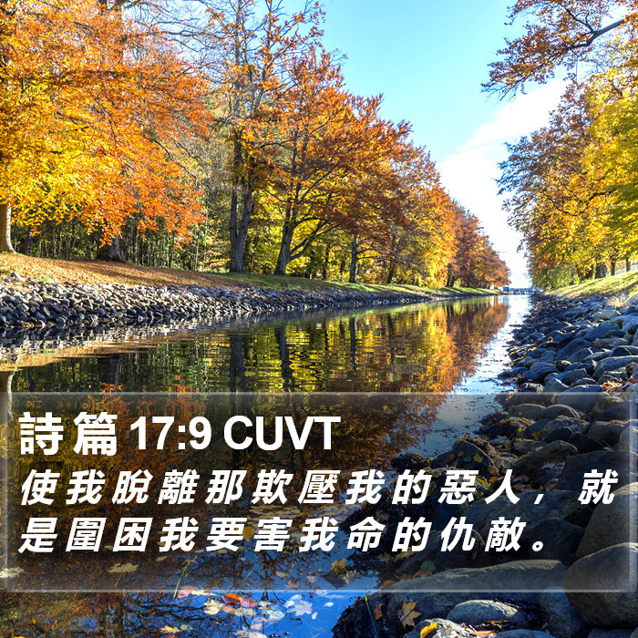 詩 篇 17:9 CUVT Bible Study